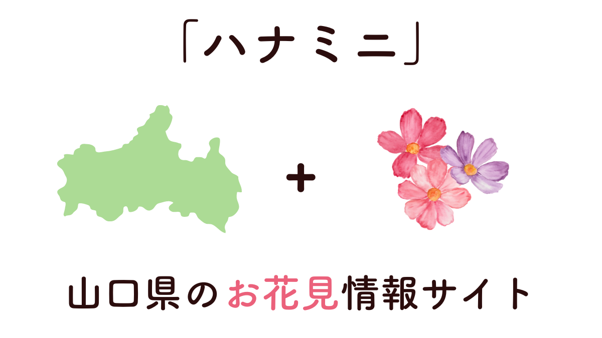 ハナミニとは山口県のお花見情報サイト